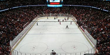 Image of Anaheim Ducks At Anaheim, CA - Honda Center