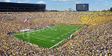 Image of Michigan Wolverines In Ann Arbor