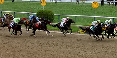 Preakness Stakes