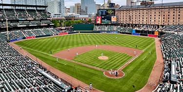 Image of Baltimore Orioles In Tampa