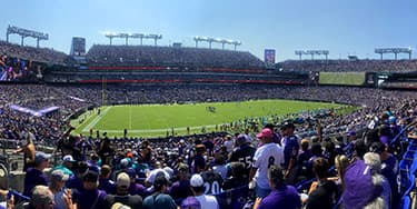 Image of Baltimore Ravens In Tampa