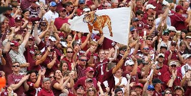 Mississippi State Bulldogs Football