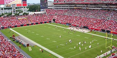 Image of Tampa Bay Buccaneers In Arlington