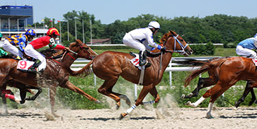 Image of Kentucky Derby & Kentucky Oaks