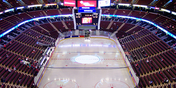 Image of Toronto Maple Leafs