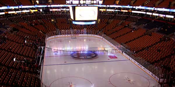 Image of Boston Bruins In Calgary