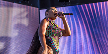 Image of Megan Thee Stallion