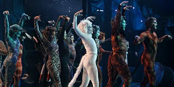 Image of Cats The Musical In Portsmouth