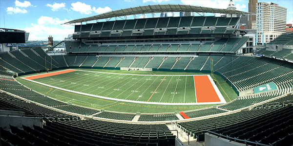 Image of Cincinnati Bengals