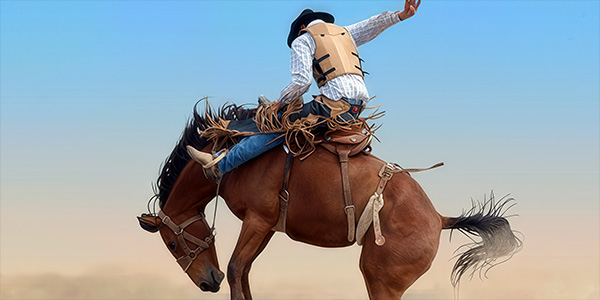 Image of Houston Livestock Show And Rodeo