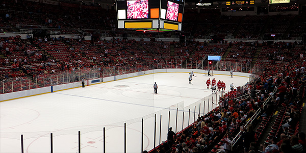 Image of Detroit Red Wings