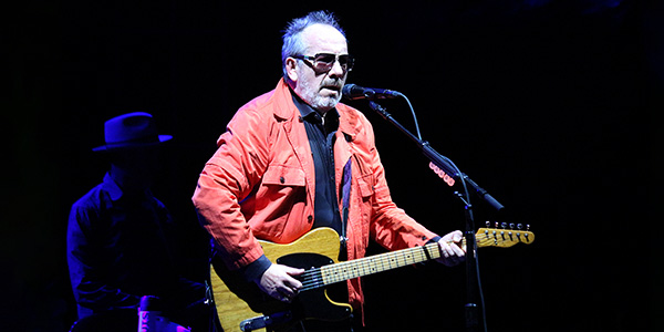 Image of Elvis Costello