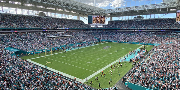 Image of Miami Dolphins