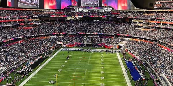 Image of Las Vegas Raiders In Houston