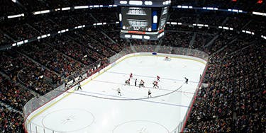 Image of Ottawa Senators