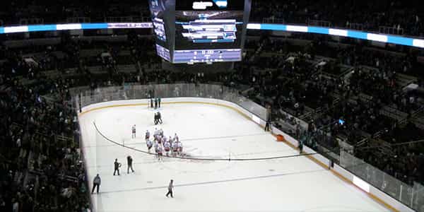 Image of San Jose Sharks In San Jose