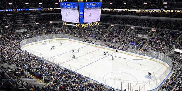 Image of St Louis Blues In Dallas