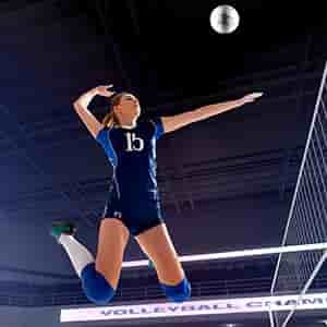 Image of Florida Gators Volleyball