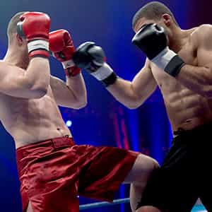 Image of Pro Boxing