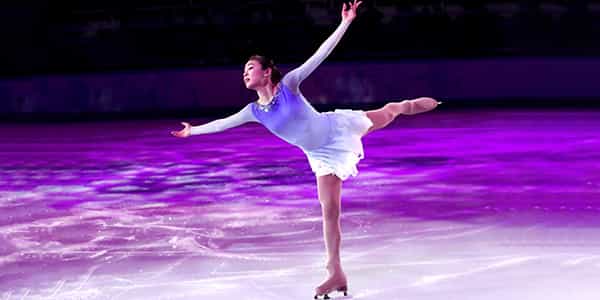 Image of Stars On Ice In Ottawa