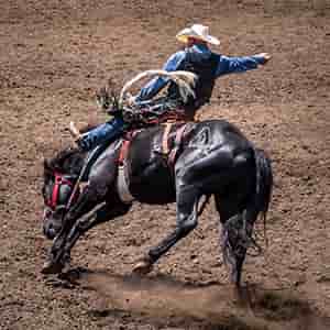 Image of Clovis Rodeo