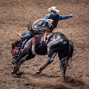 Image of Mesquite Championship Rodeo