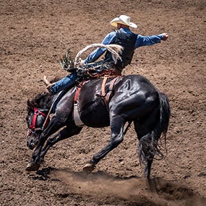 Image of Pbr Challenger Series At Las Vegas, NV - Arena at South Point Hotel And Casino