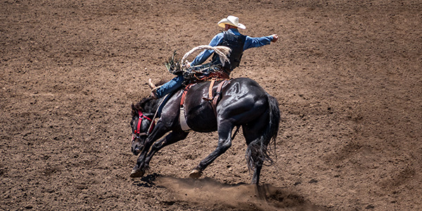 Image of Fort Worth Stock Show and Rodeo