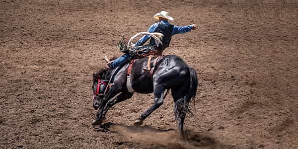 Image of Pbr Bulls And Beats In Fort Collins