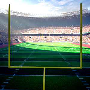 Image of Las Vegas Rockers Arena Football