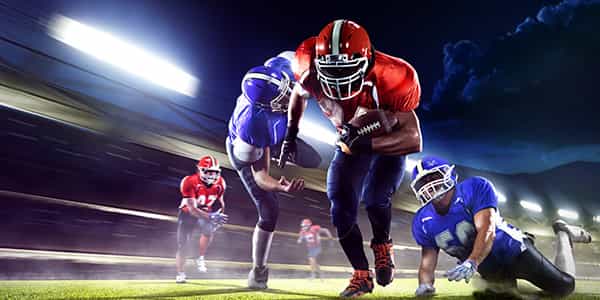 Image of Jacksonville Sharks In Fishers