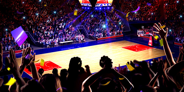 Image of Edmonton Stingers