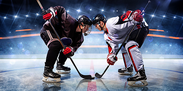 Image of San Diego Gulls