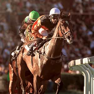 Image of Thoroughbred Racing