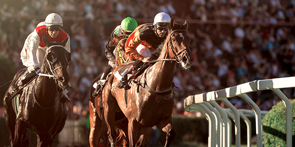Image of Saratoga Horse Racing