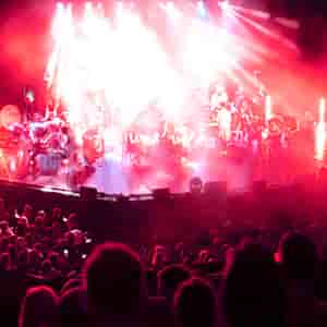 Image of The Bronx Wanderers