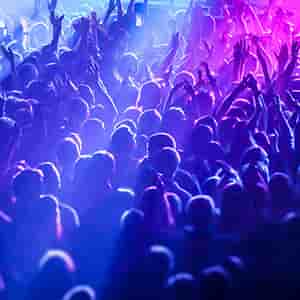 Image of Best Laid Plans - An Hollywood Whodunnit